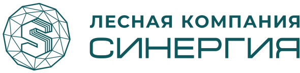 Логотип компании Синергия