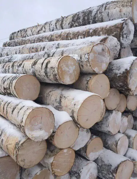 logs.webp logs.webp